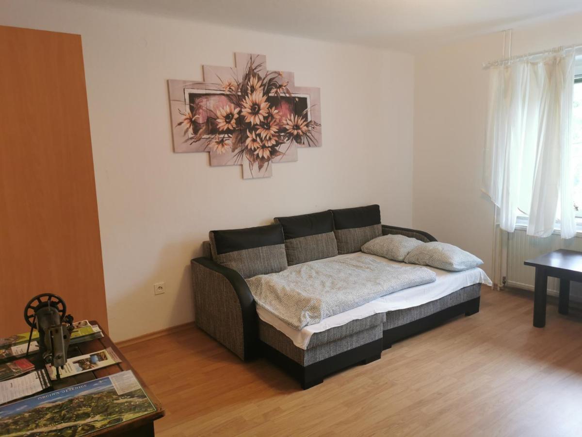 Apartma Rekar - A House, Where You Can Relax In The Embrace Of Nature Jesenice Exterior foto